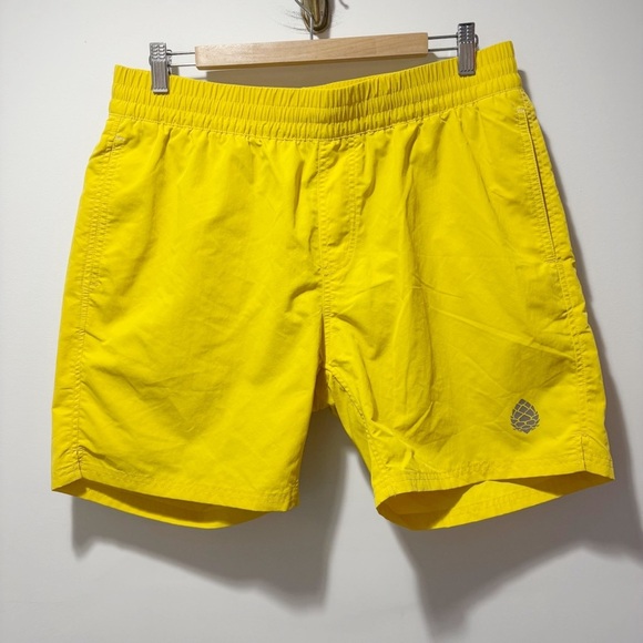Stio Men’s Hideout Shorts Yellow Size Medium Lined Nylon Swim Hike Workout - Picture 1 of 14